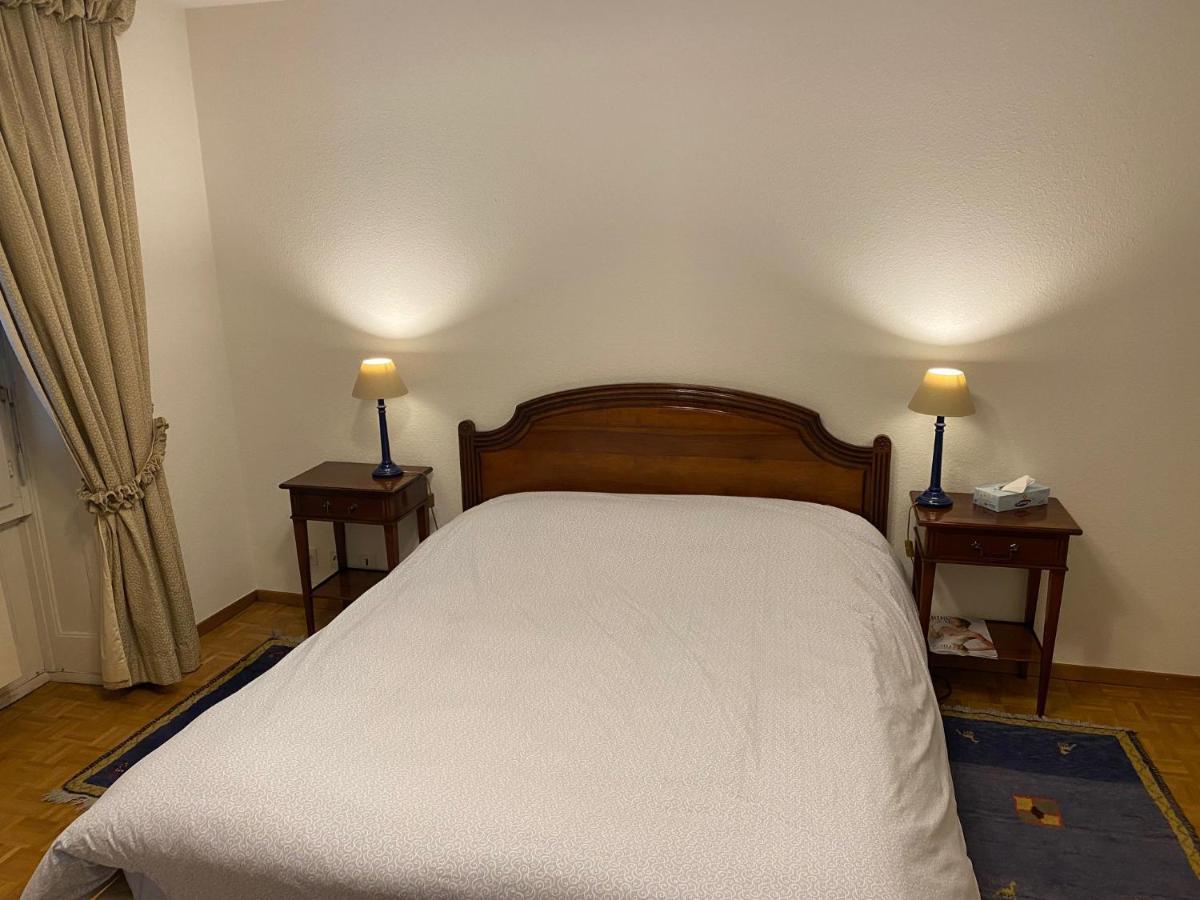 Geneve, Plein Centre,Belle Vue Lac, Splendide Et Grand Appartement מראה חיצוני תמונה